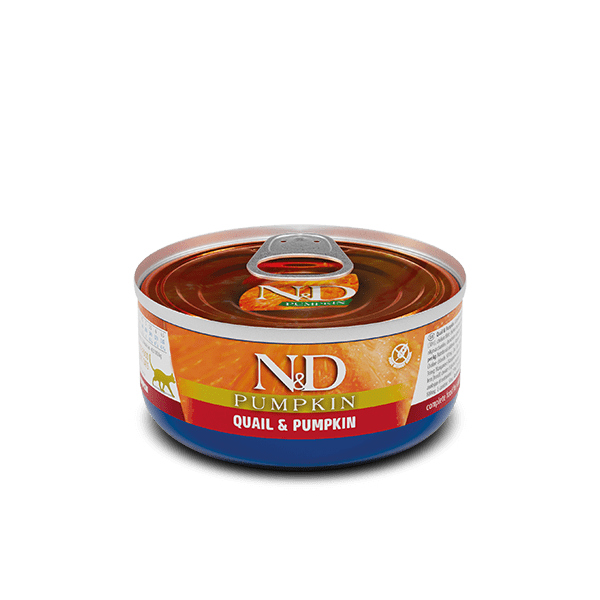 N&D CAT PUMPKIN WET QUAIL 70GR