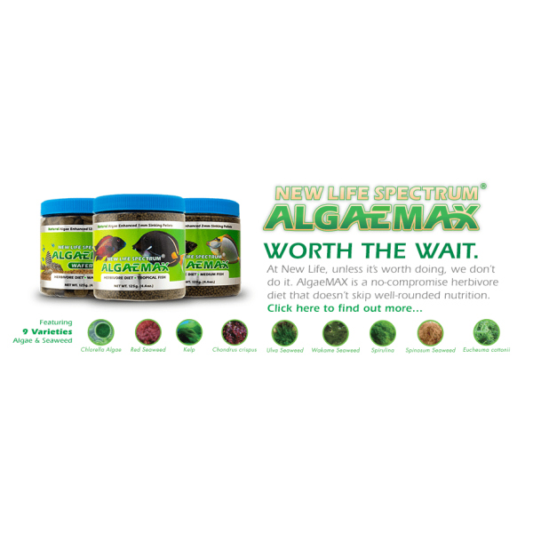 NEW LIFE SPECTRUM ALGAEMAX MEDIUM 2MM ALGAE ENHANCED PELLET 125GR