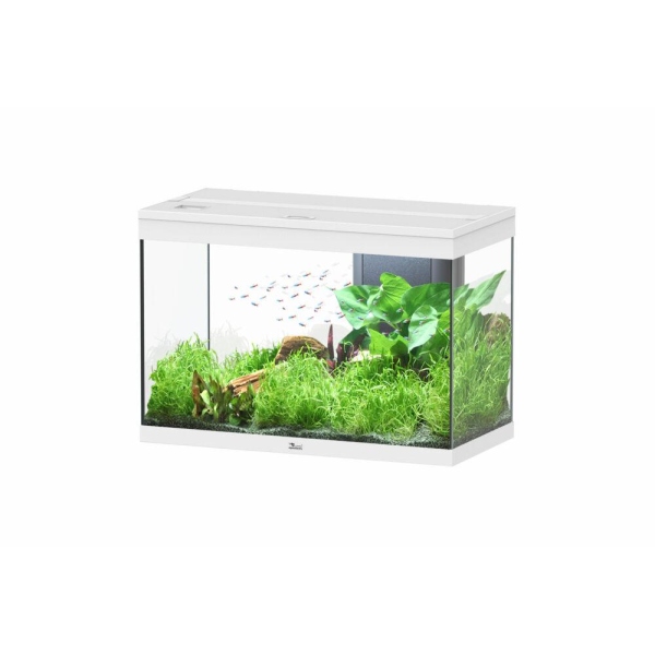 AQUATLANTIS SPLENDID 80 WHITE 80X40X56 146LT